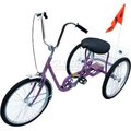 Vestil Industrial Tricycle 250 Lb Capacity Single Speed Coaster Brake Purple IBIKE-3-DC-P